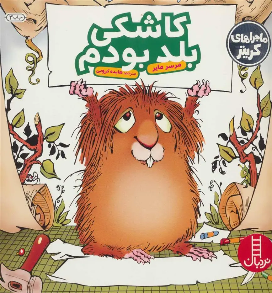 دانلود pdf کتاب کاشکی بلد بودم مرسر مایر