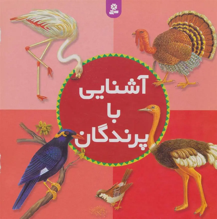 خرید و قیمت کتاب آشنایی با پرندگان اثر مرتضی بختیاری