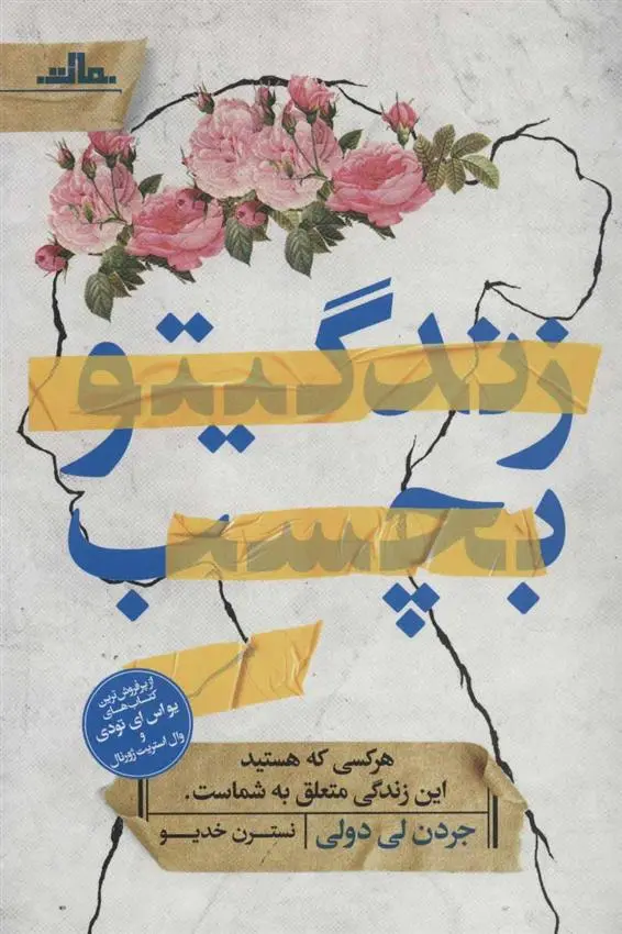 دانلود pdf کتاب زندگیتو بچسب جردن لی دولی