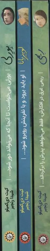 دانلود pdf کتاب مجموعه داستان تابستان کیت دی کامیلو