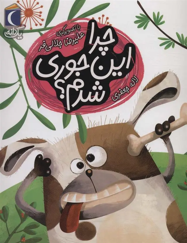 دانلود pdf کتاب چرا این جوری شدم؟ لاله جعفری