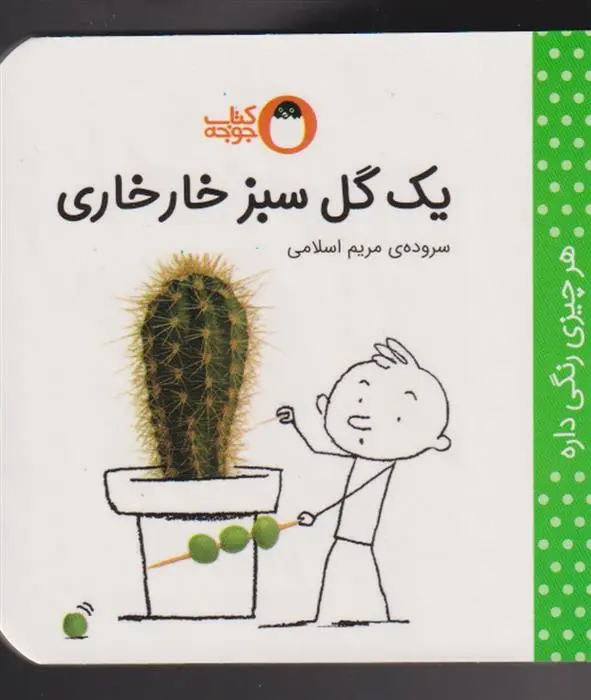 دانلود pdf کتاب یک گل سبز خارخاری مریم اسلامی