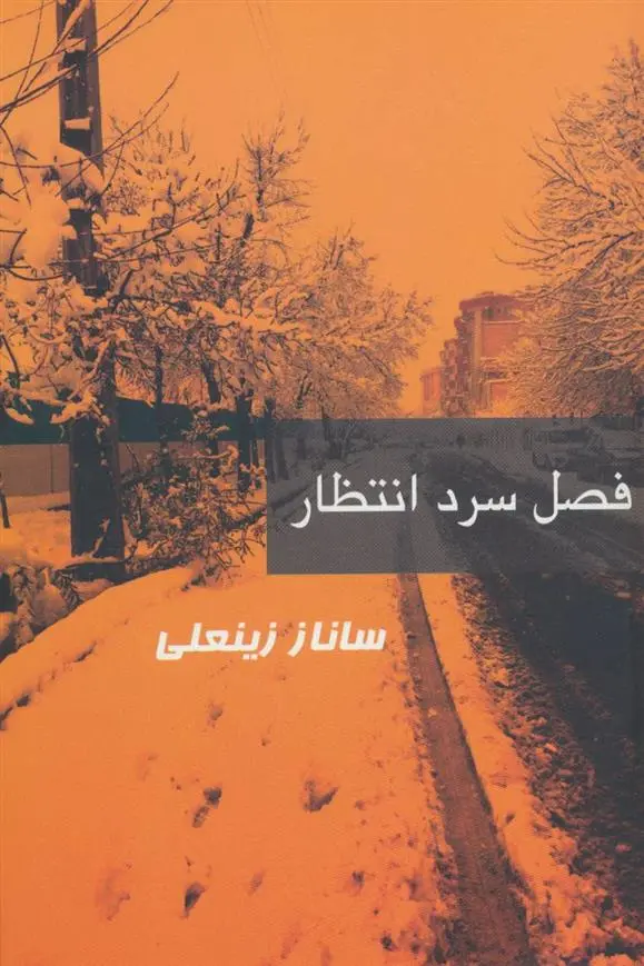 دانلود pdf کتاب فصل سرد انتظار ساناز زینعلی