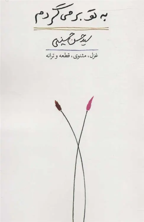 دانلود pdf کتاب به تو برمی گردم حسن حسینی