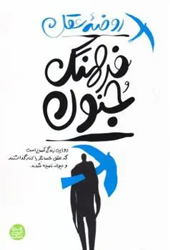 دانلود pdf کتاب روضه عقل؛ فرهنگ جنون محسن عباسی ولدی