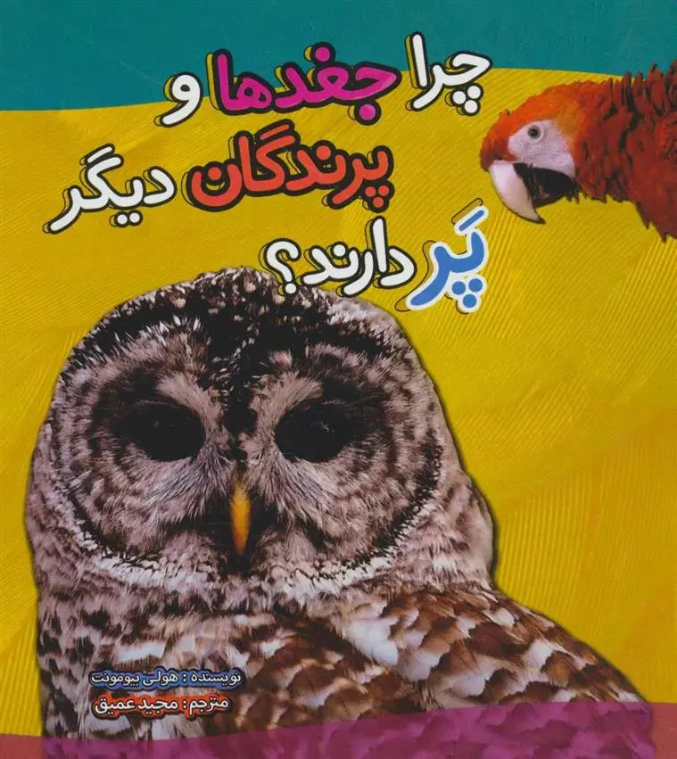دانلود pdf کتاب چرا جغدها و پرندگان دیگر پر دارند؟ هولی بیومونت