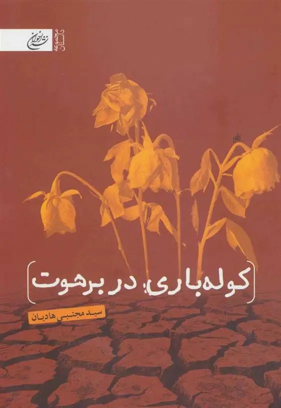 دانلود pdf کتاب کوله باری در برهوت سید مجتبی هادیان