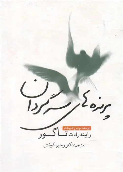 دانلود pdf کتاب پرنده های سرگردان رابیندرانات تاگور