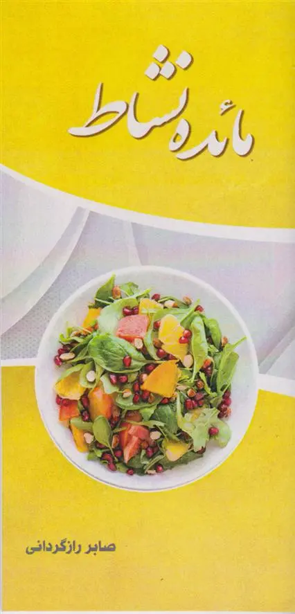 دانلود pdf کتاب مائده نشاط صابر رازگردانی