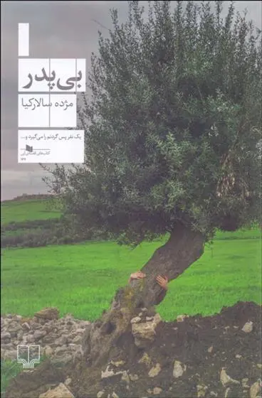 دانلود pdf کتاب بی پدر مژده سالارکیا