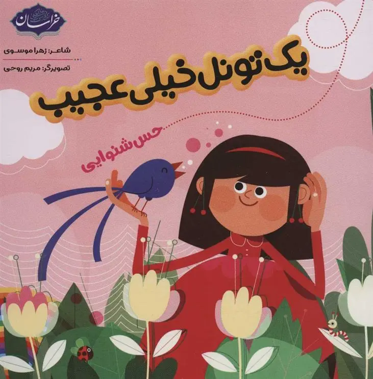 دانلود pdf کتاب یک تونل خیلی عجیب زهرا موسوی