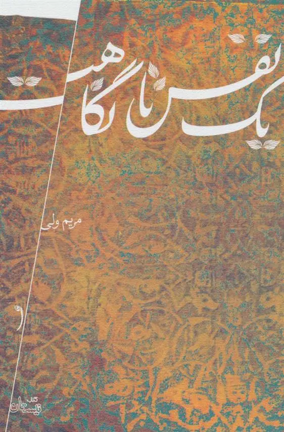 دانلود pdf کتاب یک نفس تا نگاهت مریم ولی