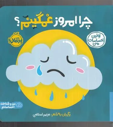 دانلود pdf کتاب چرا امروز غمگینم؟ مریم اسلامی