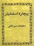 دانلود pdf کتاب بیچاره اسفندیار علی اکبر سعیدی سیرجانی