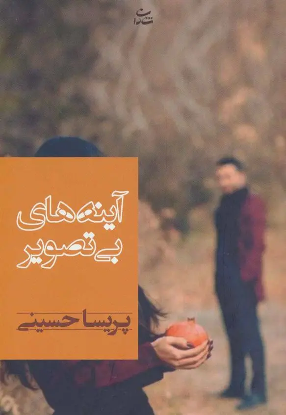 دانلود pdf کتاب آینه های بی تصویر پریسا حسینی