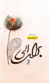 دانلود pdf کتاب برای الی امیر اسدی