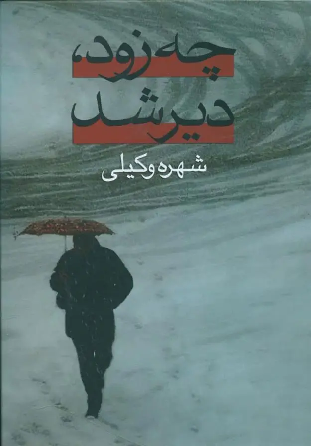 دانلود pdf کتاب چه زود، دیر شد شهره وکیلی