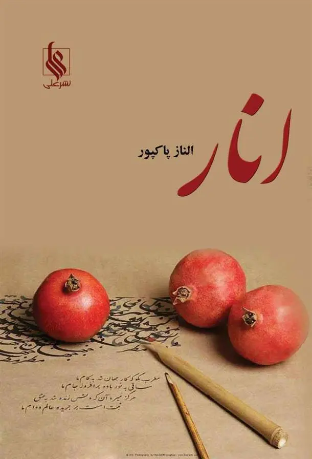 دانلود pdf کتاب انار الناز پاکپور