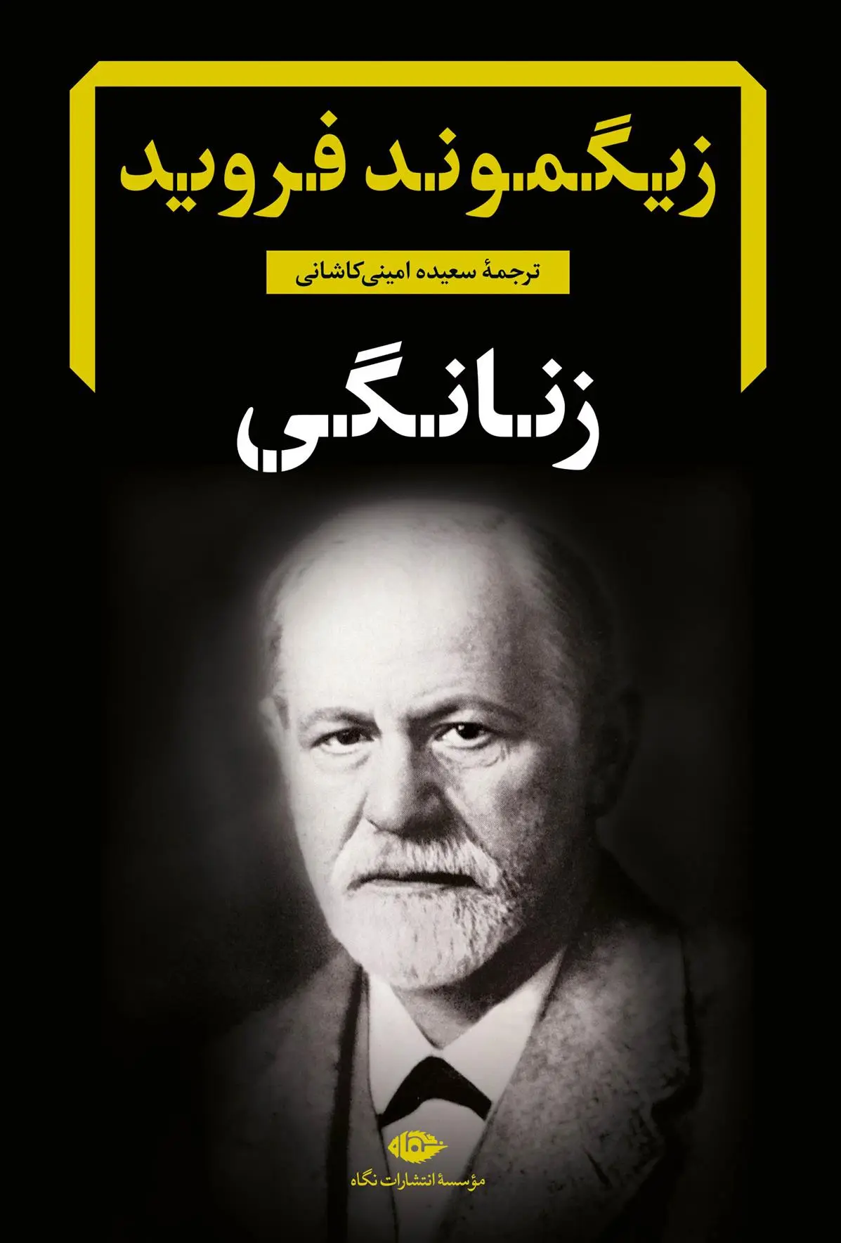 دانلود pdf کتاب زنانگی زیگموند فروید