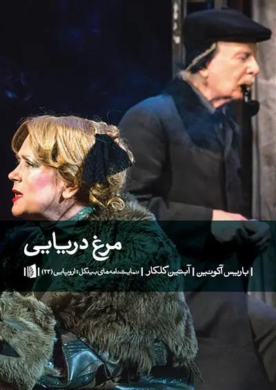 خرید و قیمت کتاب مرغ دریایی اثر باریس آکونین