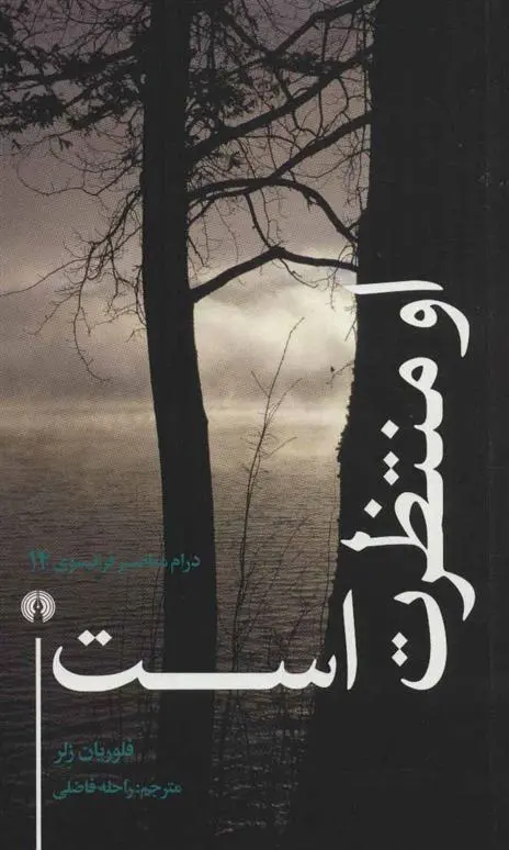 دانلود pdf کتاب او منتظرت است فلوریان زلر