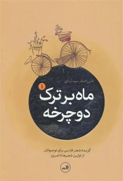 خرید و قیمت کتاب ماه بر ترک دوچرخه (5جلدی) اثر علی اصغر سیدآبادی