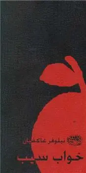 دانلود pdf کتاب خواب سیب نیلوفر عاکفیان