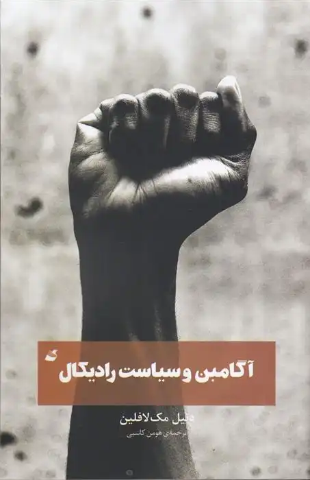 دانلود pdf کتاب آگامبن و سیاست رادیکال دنیل مک لافلین