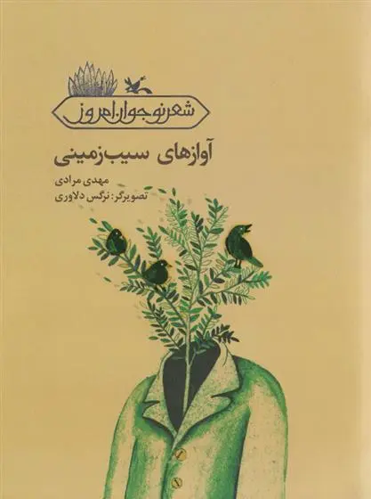 دانلود pdf کتاب آوازهای سیب زمینی مهدی مرادی