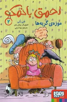 دانلود pdf کتاب احمق با نمک (2) فانی ژولی