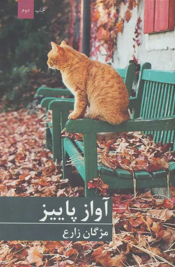 دانلود pdf کتاب آواز پاییز مژگان زارع