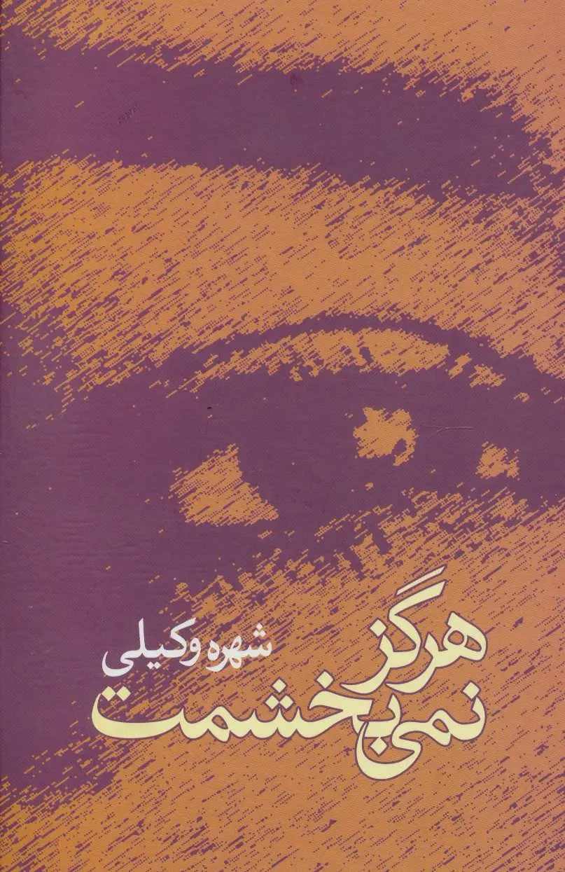 دانلود pdf کتاب هرگز نمی بخشمت شهره وکیلی