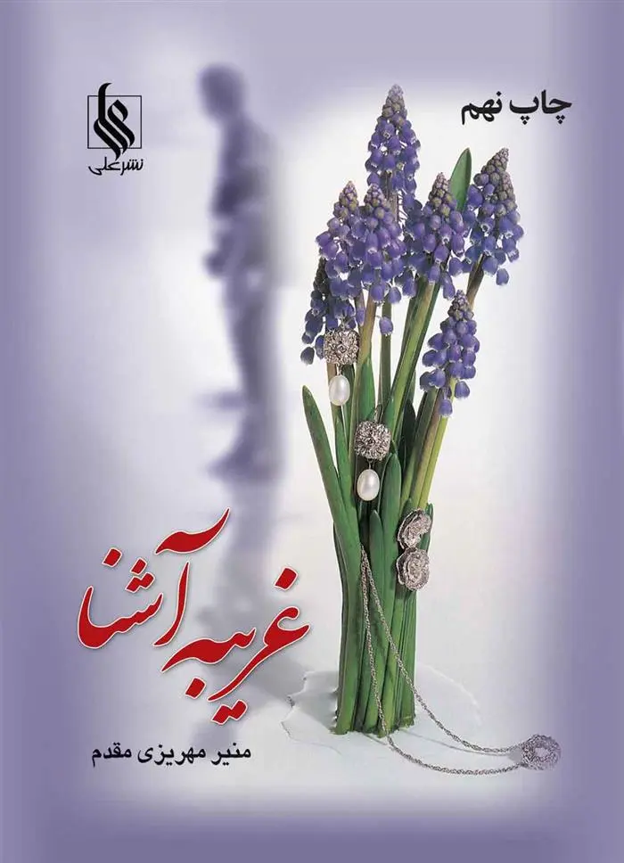 دانلود pdf کتاب غریبه آشنا منیر مهریزی مقدم