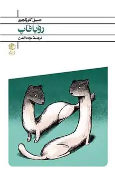 دانلود pdf کتاب رویاقاپ جمیل کاووکچو