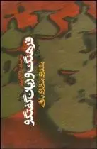 دانلود pdf کتاب فرهنگ و زبان گفتگو محمود روح ‏الامینی