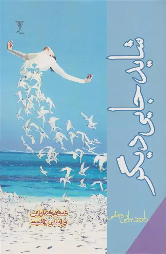 دانلود pdf کتاب شاید جایی دیگر داوود براتی دهقی