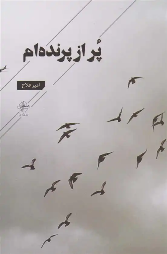 دانلود pdf کتاب پر از پرنده ام امیر فلاح
