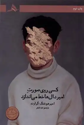 دانلود pdf کتاب کسی روی صورت امیردال ها خط می اندازد امیرهوشنگ گراوند