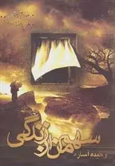 دانلود pdf کتاب سهم من از زندگی وحیده آساره