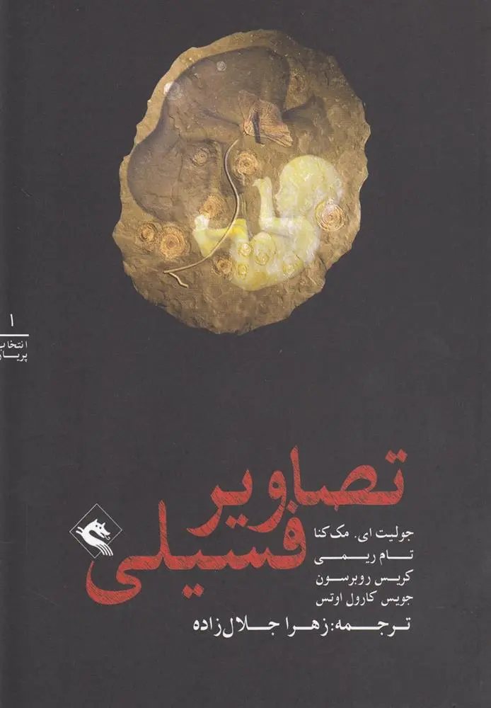 دانلود pdf کتاب تصاویر فسیلی 