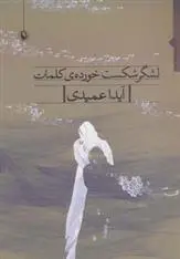 دانلود pdf کتاب لشگر شکست خورده ی کلمات آیدا عمیدی