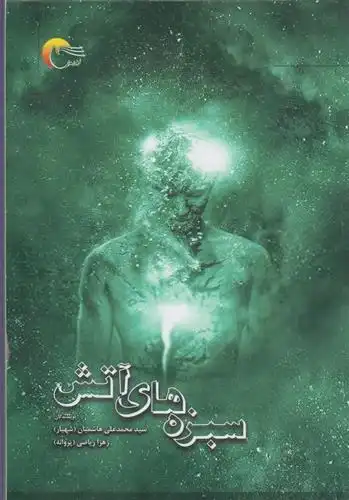 دانلود pdf کتاب سبزه های آتش زهرا ریاضی (پروانه)