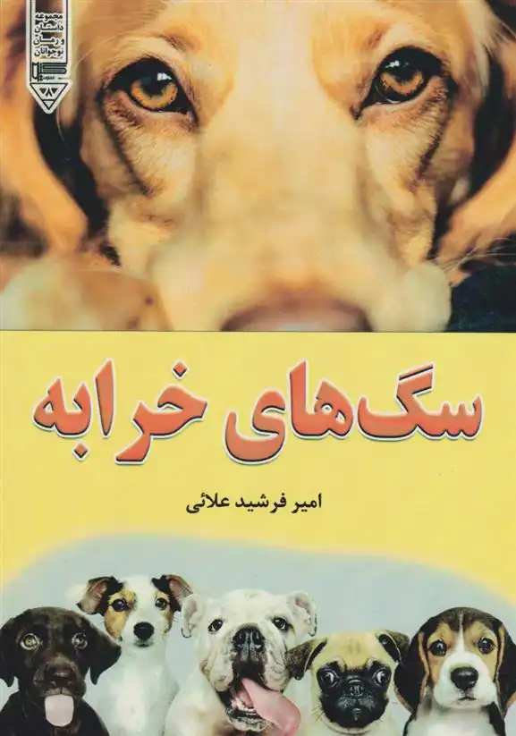 دانلود pdf کتاب سگ های خرابه امیر فرشید علائی