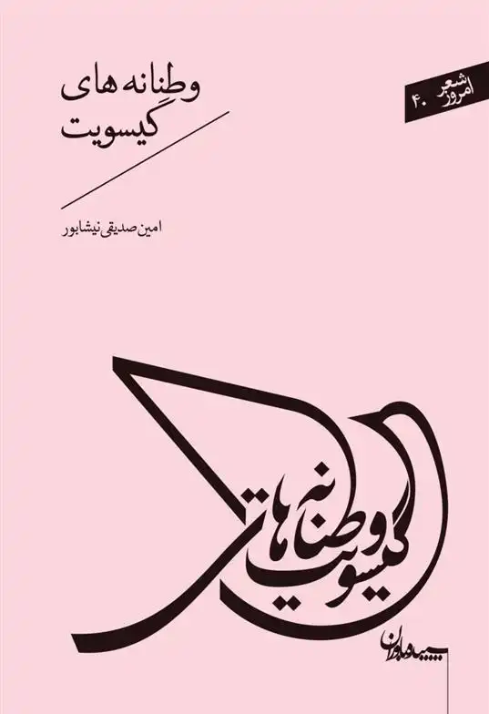 دانلود pdf کتاب وطنانه های گیسویت امین صدیقی