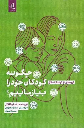 دانلود pdf کتاب چگونه کودکان خود را بیازماییم شان گالاگر