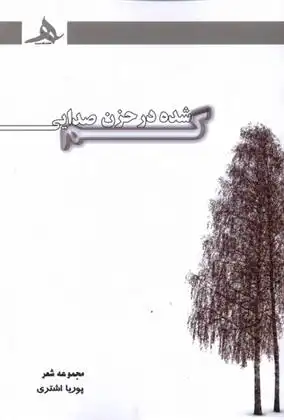 دانلود pdf کتاب گم شده در حزن صدایی پوریا اشتری