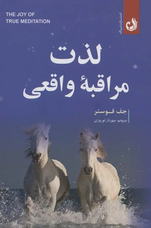 دانلود pdf کتاب لذت مراقبه واقعی جف فوستر