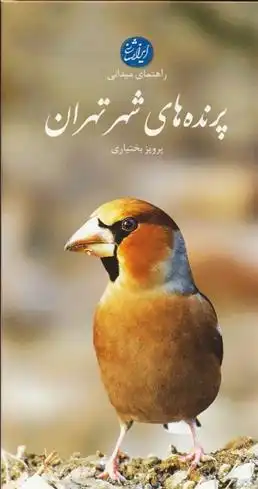 دانلود pdf کتاب پرنده های شهر تهران پرویز بختیاری