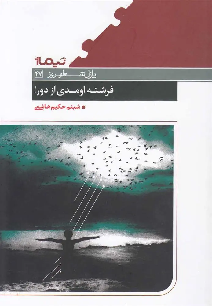 دانلود pdf کتاب فرشته اومدی از دور! شبنم حکیم هاشمی