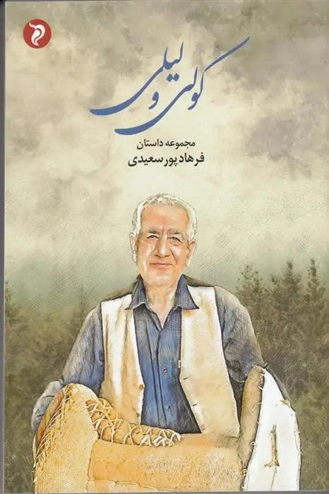 دانلود pdf کتاب کولی و لیلی فرهاد پورسعیدی